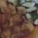 Cooksnap dari Yulli Nrl untuk resep Pempek Dos Enak