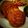 Neha Malhotra's cooksnap of when they made Hyderabadi Mutton Shami kabab.