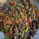 Cooksnap dari Nies Sucipto untuk resep Tumis Ati Ampela Buncis Pedas Manis
