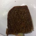 Cooksnap dari shanie lee untuk resep Bolu Karamel Panggang