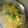 Ruby Tiwari का कुकस्नैप जब उन्होंने मटर पुलाव (matar Pulao recipe in Hindi) बनाया था।