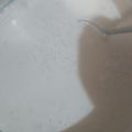 El cooksnap de Natalia Pereyra cuando hizo Arroz con leche súper fácil.