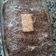 El cooksnap de mayte cuando hizo Tarta de galletas, chocolate y coco.