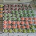 Cooksnap dari Vera Meilani untuk resep Putri salju pandan eggless
