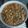 王家恩 的 螞蟻上樹 cooksnap
