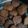 Rashmi Adhvaryu's cooksnap of when they made બાજરી ના વડા (Bajri Vada Recipe In Gujarati).