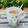 Mara's cooksnap of when they made Honey Cinnamon Tea.