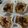 Cooksnap dari triandini untuk resep Rolled Oat Cookies