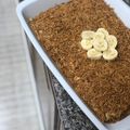 صورة من Fatma، شاركها بعد تجربة وصفة حلى خشخش