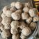 Cooksnap dari Rosnatalia Seru untuk resep Bakso sapi homemade, kenyal dan higenis