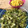 El cooksnap de anahelenarubio cuando hizo Bulgur en ensalada con mango, brócoli y aguacate.