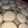 El cooksnap de Lourdes Sofia Brito cuando hizo Alfajores de maicena/ maicenitas.
