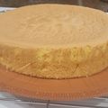 کوک اسنپ Sarina بعد از امتحان کردن کیک اسفنجی خوش بافت 🎂🍰.