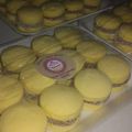 El cooksnap de Daiana melo cuando hizo Alfajores de maicena de frozen.
