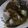 Sa'adah Eelham Abduho's cooksnap of when they made Tuwon shinkafa with miyan kuka (Baobab) #Abuja.