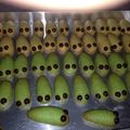 Cooksnap dari Yuni Astuti untuk resep Kue Ulat sagu Anti gagal👍