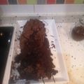 El cooksnap de susan cuando hizo Brownie con nueces!.