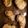 ToneyI's cooksnap of when they made Parmesan pork chops.