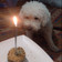El cooksnap de Mickaela ʚiɞ cuando hizo Torta para perros🐶🎂.