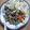 @Rahma Barde's cooksnap of when they made Beans dumplings (Dan wake) 2.