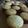El cooksnap de Javiera Fernanda cuando hizo Cupcakes de vainilla con glaseado de chocolate (Receta por separado).