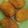 Cooksnap dari Vinzlicious untuk resep Kroket Kentang #pr_lekkermeneer