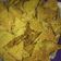 El cooksnap de vissanimaria cuando hizo Doritos caseros al estilo Argentino (popotos mexicanos).