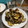 El cooksnap de Magalia cuando hizo Almejas al Albariño.