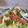 El cooksnap de JUAN JOSE SANCHEZ MORENO cuando hizo Ensalada de lentejas.