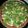 El cooksnap de Rosana Gonzalez cuando hizo Pizza con masa de harina integral y harina de avena.