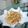 Cooksnap dari Amelia Christianti Santosa untuk resep Enoki kriuk