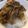 Yongki Agustinus's cooksnap of when they made Homemade Yoshinoya-Style Gyudon (Beef Rice Bowl).