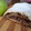 El cooksnap de Laura L ❤ cuando hizo Strudel de manzanas - Apfel Strudel.