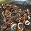 Cooksnap dari ranyoomi untuk resep Cumi pelangi
