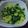 Vaishali Vora's cooksnap of when they made મૂળા નું ખારિયું (Mooli Khariyu Recipe In Gujarati).