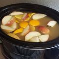 twoplanets's cooksnap of when they made Hot Apple Cider.