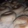El cooksnap de luciana yubel cuando hizo Rosquitos de naranja 🍩🍊.