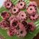 Cooksnap dari Elsa Shifia untuk resep Bolu kukus semangka