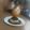 Thảo Vũ's cooksnap of when they made Bánh flan trân châu đường nâu ngon tuyệt.