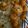 hbogner15's cooksnap of when they made Sticky Honey Garlic Butter Shrimp.