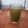 Cooksnap de Sergio Ferreira Gomes quando cozinhou Chá-Refresco Verde.