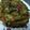 Sushmita Chakraborty's cooksnap of when they made Baingan bhartha / brinjal bharta.
