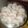 Cooksnap dari Nuri Handayani untuk resep Putri Salju