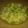 El cooksnap de Lady Marmalade cuando hizo Revuelto vegano a lo macrisis.