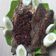 Cooksnap dari Nuri Yani untuk resep Nila goreng sambal colo-colo