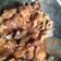 Cooksnap dari Ilma Apriyani untuk resep Ayam Kecap