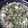El cooksnap de Banky Herrera cuando hizo Spaghetti en crema de cilantro.