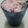 El cooksnap de Mariana cuando hizo Helado de frutilla.