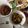 Susan Brown's cooksnap of when they made Biryani.