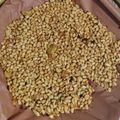 Cooksnap dari nita untuk resep Kacang bawang rasa mente
